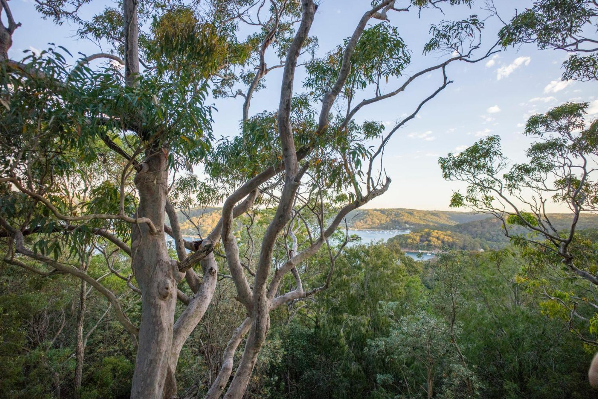 A Pousada Yha Pittwater Eco, Sydney Church Point Exterior foto